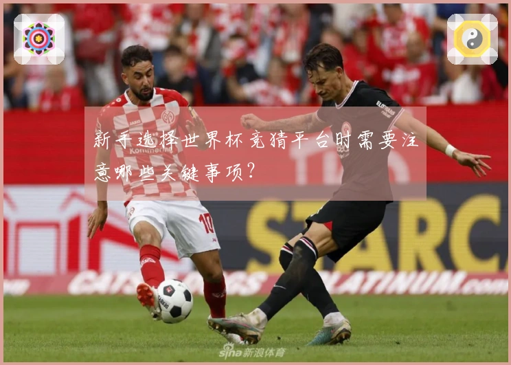 新手选择世界杯竞猜平台时需要注意哪些关键事项？