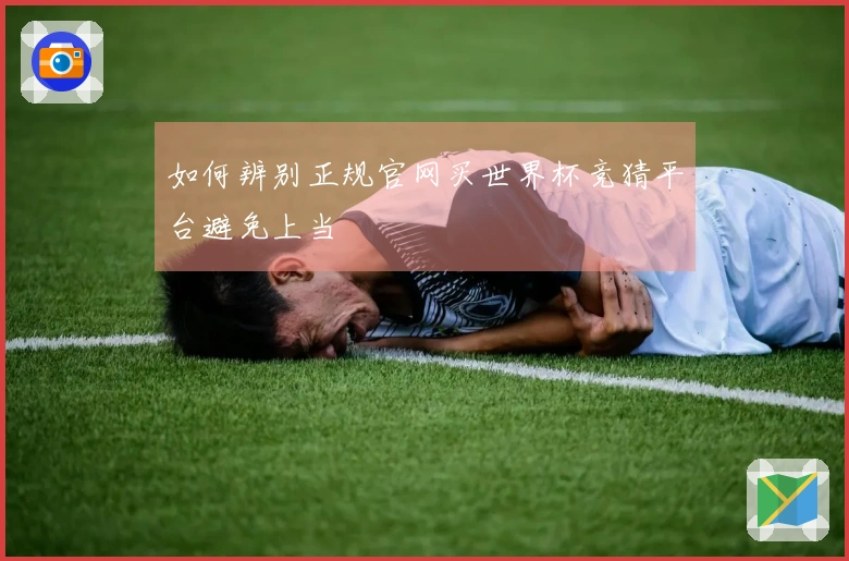 如何辨别正规官网买世界杯竞猜平台避免上当