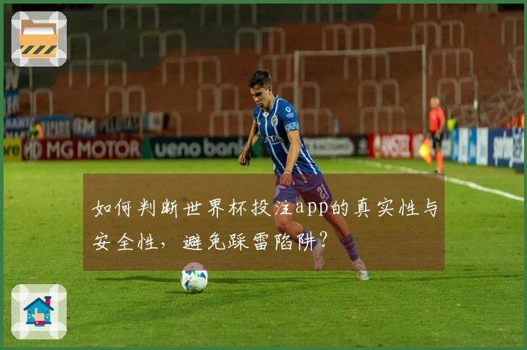如何判断世界杯投注app的真实性与安全性，避免踩雷陷阱？